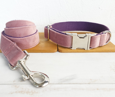 Adjustable Dog Collar & Matching Leash Set