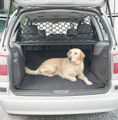 Dog sitting in a car trunk with a pet safety barrier