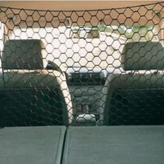 Car interior with a hexagonal patterned netting