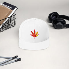 Snapback Hat